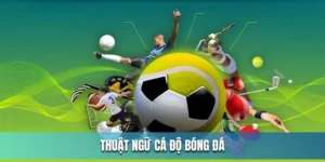 Tổng Hợp Thuật Ngữ Cá Độ Bóng Đá Từ A - Z Cho Tân Binh